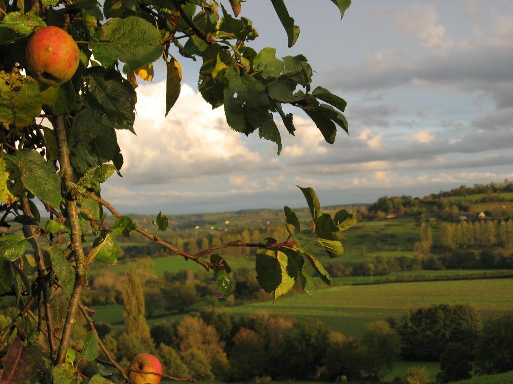 La Boursaie Bed and Breakfast Livarot-Pays-d'Auge Exteriör bild